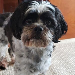 Meet your Posher, Roseann